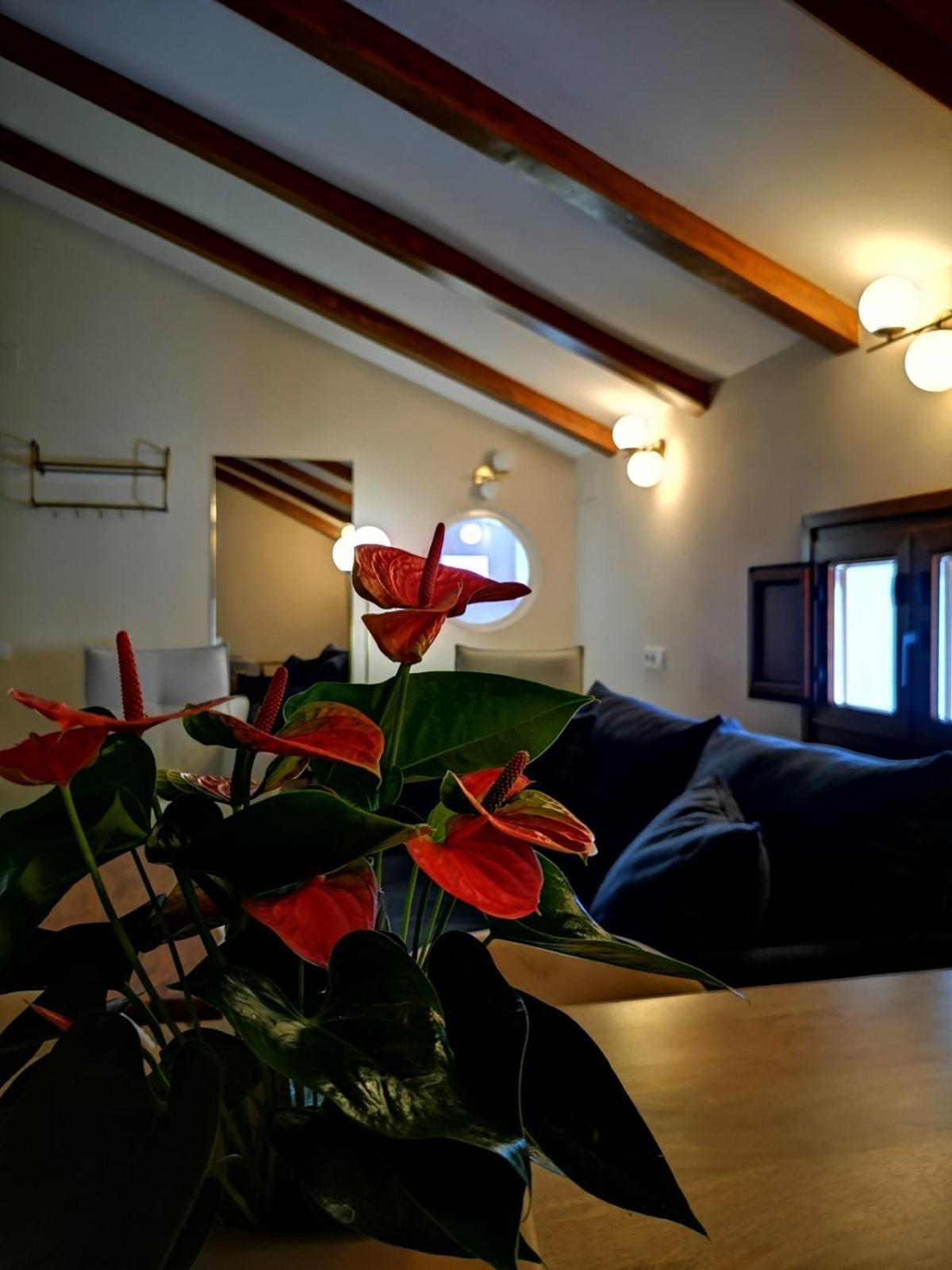 Appartement A Casa Da Mae